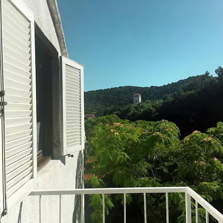 With Terrace In Appartamento