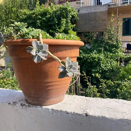 With Terrace In Appartamento *